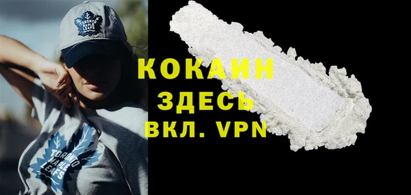 apvp Ельня