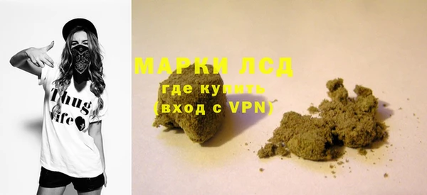 apvp Ельня