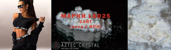 apvp Ельня
