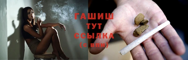 apvp Ельня