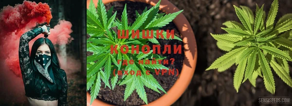 apvp Ельня