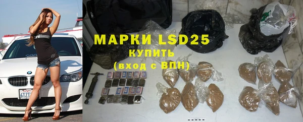 apvp Ельня