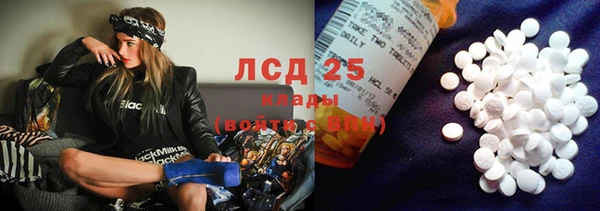 apvp Ельня