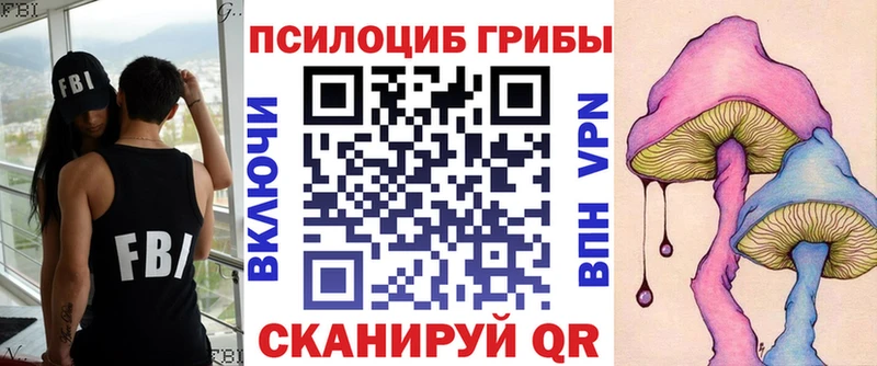 Купить  Саки  Псилоцибиновые грибы MAGIC MUSHROOMS 